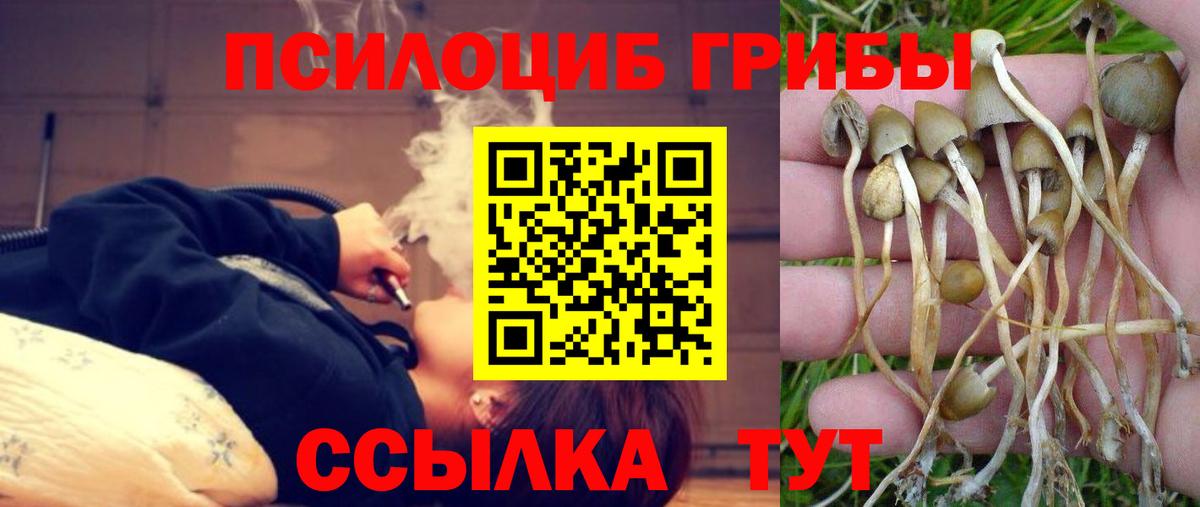 Галлюциногенные грибы Psilocybine cubensis  Галлюциногенные грибы мухоморы  Клин  Вход с VPN 