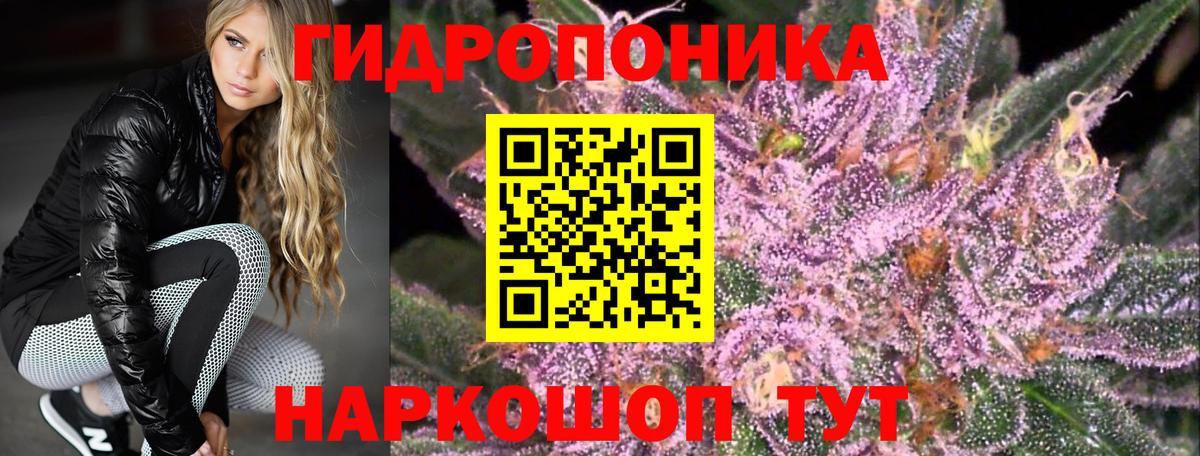 Клин  МАРИХУАНА Ganja  Бошки марихуана марихуана  Вход с VPN 